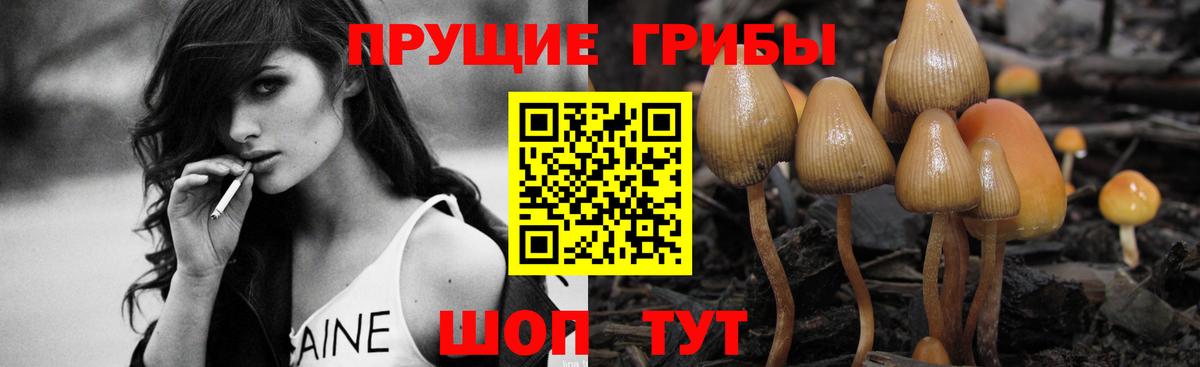 Медногорск  Галлюциногенные грибы GOLDEN TEACHER  Вход с VPN  Галлюциногенные грибы GOLDEN TEACHER 